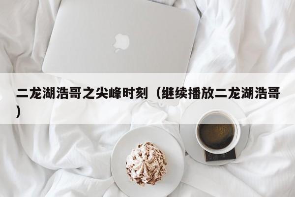 二龙湖浩哥之尖峰时刻（继续播放二龙湖浩哥）