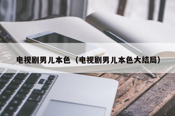 电视剧男儿本色（电视剧男儿本色大结局）