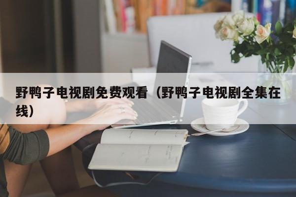 野鸭子电视剧免费观看（野鸭子电视剧全集在线）