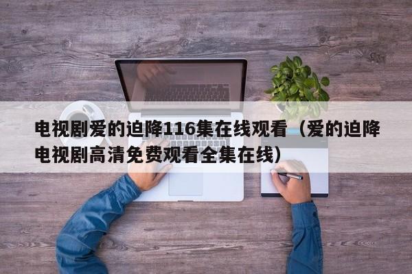 电视剧爱的迫降116集在线观看（爱的迫降电视剧高清免费观看全集在线）