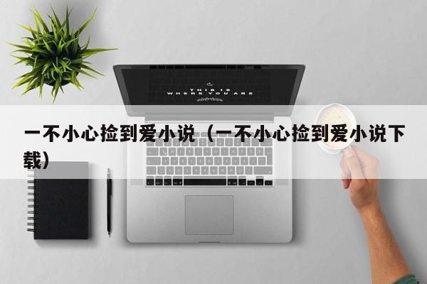 一不小心捡到爱小说（一不小心捡到爱小说下载）