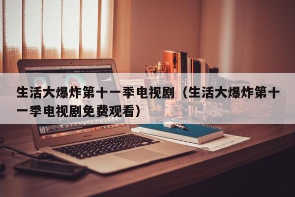 生活大爆炸第十一季电视剧（生活大爆炸第十一季电视剧免费观看）