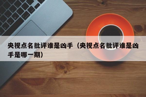 央视点名批评谁是凶手（央视点名批评谁是凶手是哪一期）