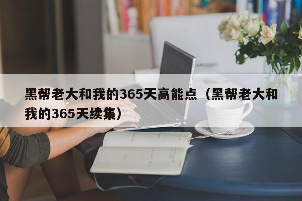 黑帮老大和我的365天高能点（黑帮老大和我的365天续集）