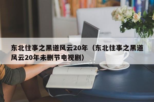 东北往事之黑道风云20年（东北往事之黑道风云20年未删节电视剧）