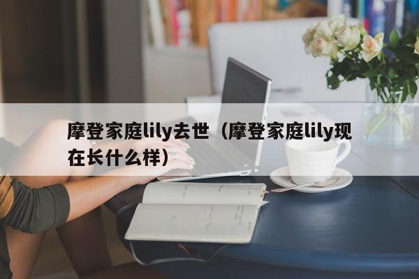 摩登家庭lily去世(摩登家庭lily现在长什么样)