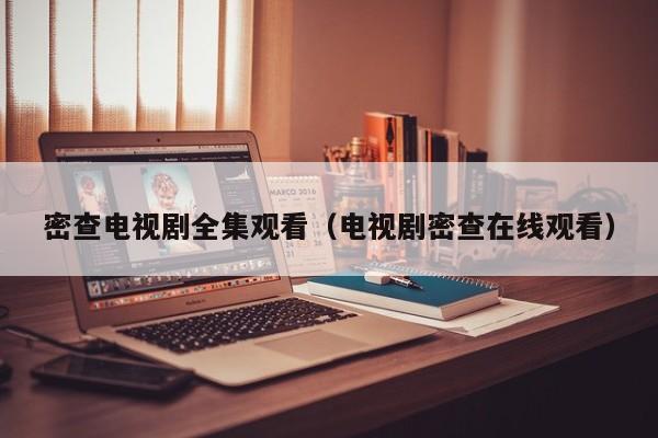 密查电视剧全集观看（电视剧密查在线观看）