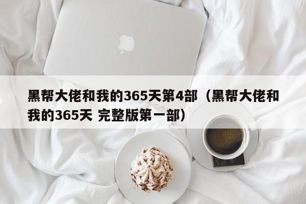 黑帮大佬和我的365天第4部（黑帮大佬和我的365天 完整版第一部）