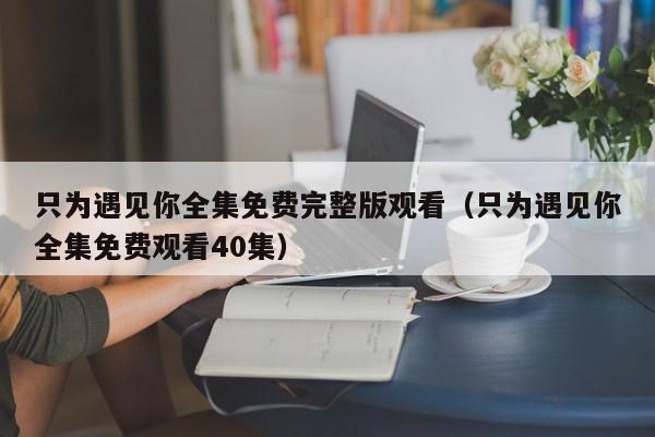 只为遇见你全集免费完整版观看（只为遇见你全集免费观看40集）