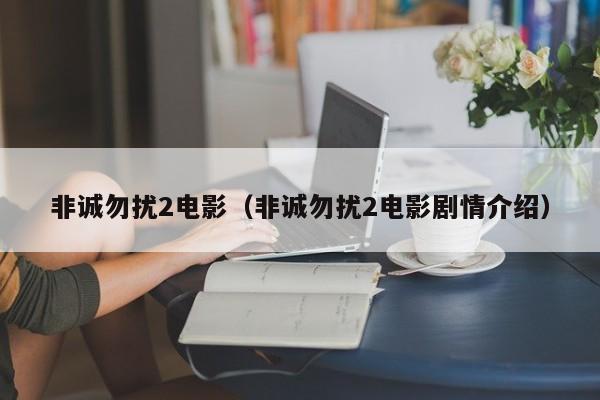 非诚勿扰2电影（非诚勿扰2电影剧情介绍）