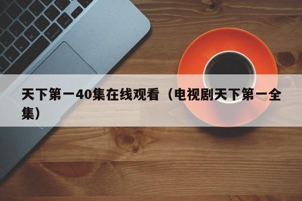 天下第一40集在线观看（电视剧天下第一全集）