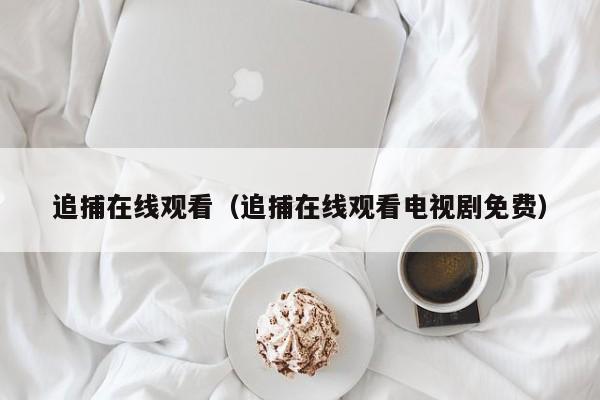 追捕在线观看（追捕在线观看电视剧免费）