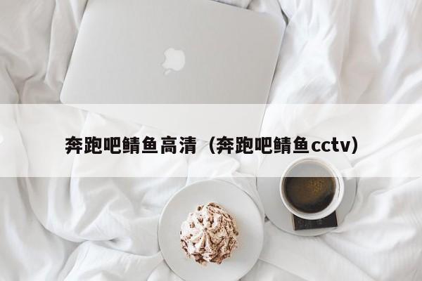 奔跑吧鲭鱼高清（奔跑吧鲭鱼cctv）