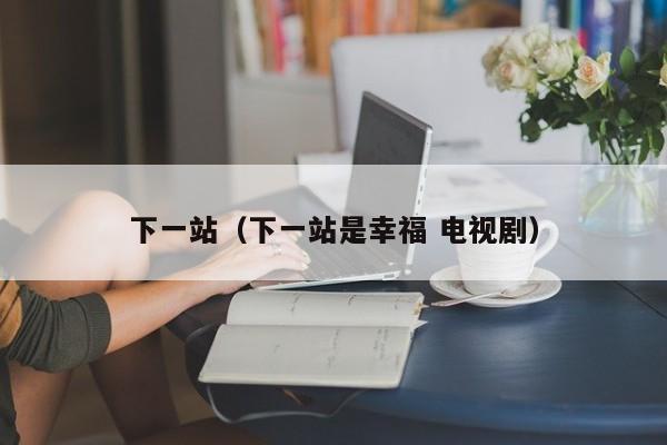 下一站（下一站是幸福 电视剧）
