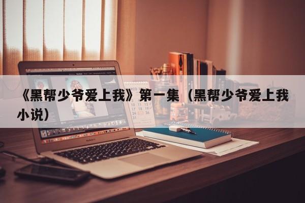 《黑帮少爷爱上我》第一集（黑帮少爷爱上我小说）