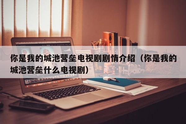 你是我的城池营垒电视剧剧情介绍（你是我的城池营垒什么电视剧）