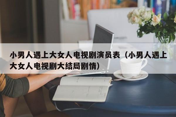 小男人遇上大女人电视剧演员表（小男人遇上大女人电视剧大结局剧情）