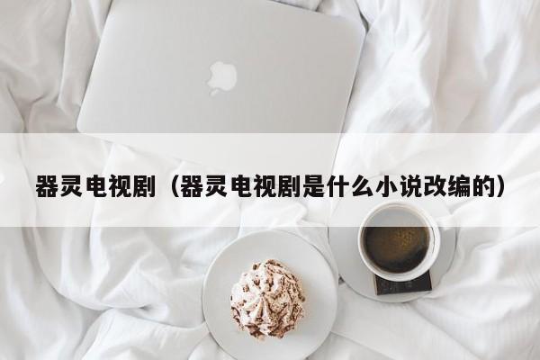器灵电视剧（器灵电视剧是什么小说改编的）