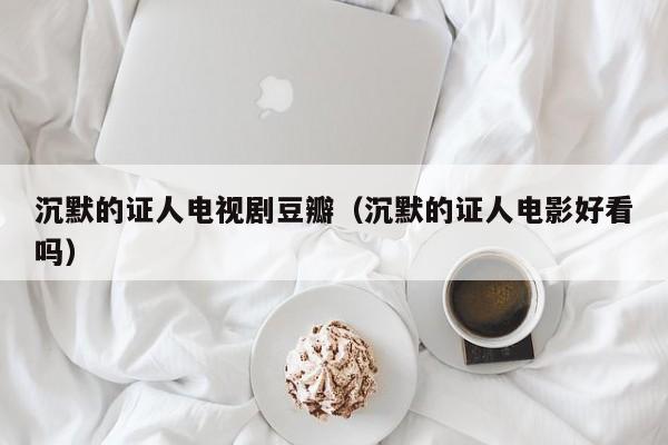 沉默的证人电视剧豆瓣（沉默的证人电影好看吗）