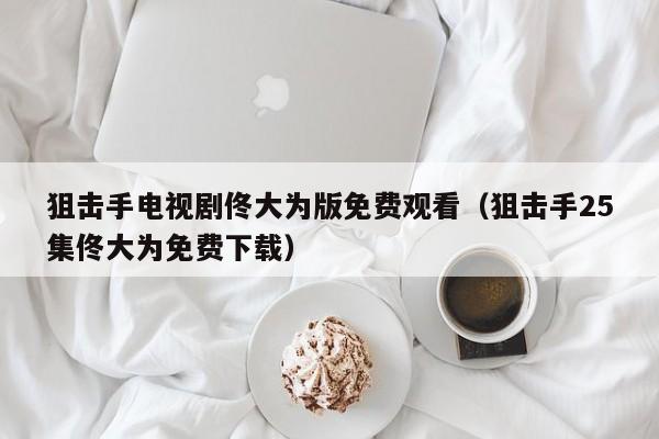 狙击手电视剧佟大为版免费观看（狙击手25集佟大为免费下载）