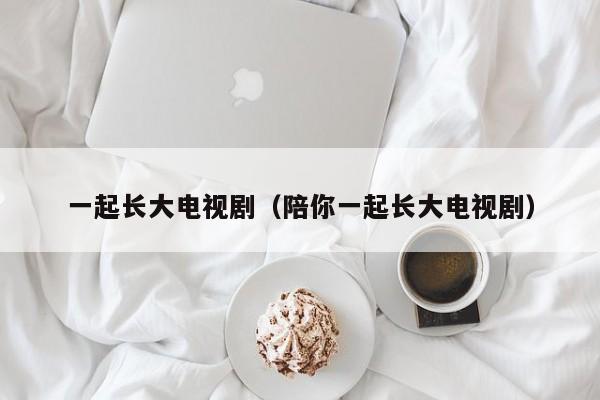 一起长大电视剧（陪你一起长大电视剧）