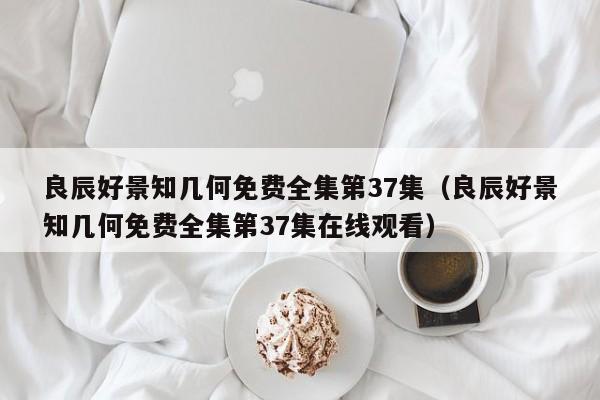 良辰好景知几何免费全集第37集（良辰好景知几何免费全集第37集在线观看）