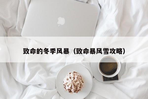 致命的冬季风暴（致命暴风雪攻略）
