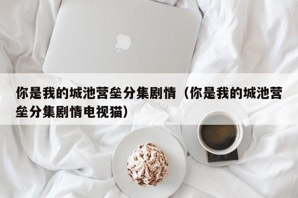 你是我的城池营垒分集剧情（你是我的城池营垒分集剧情电视猫）