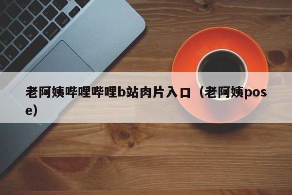 老阿姨哔哩哔哩b站肉片入口（老阿姨pose）