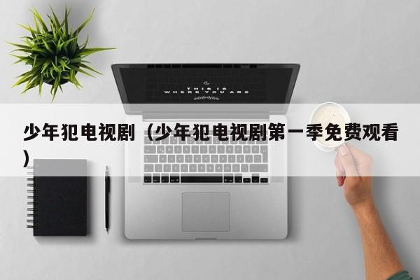 少年犯电视剧（少年犯电视剧第一季免费观看）