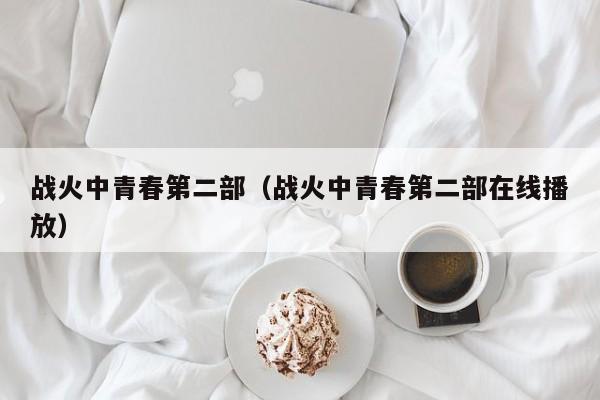 战火中青春第二部（战火中青春第二部在线播放）