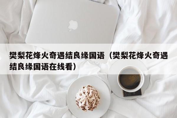 樊梨花烽火奇遇结良缘国语（樊梨花烽火奇遇结良缘国语在线看）