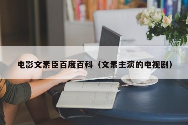 电影文素臣百度百科（文素主演的电视剧）