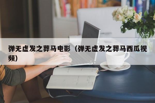 弹无虚发之葬马电影（弹无虚发之葬马西瓜视频）