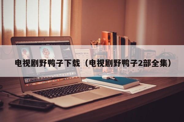 电视剧野鸭子下载（电视剧野鸭子2部全集）