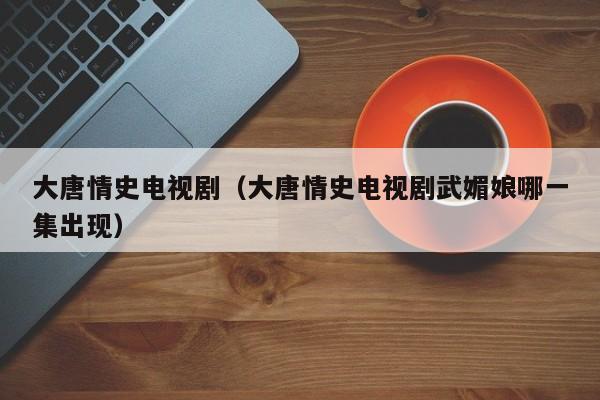 大唐情史电视剧（大唐情史电视剧武媚娘哪一集出现）