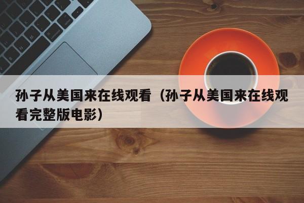孙子从美国来在线观看（孙子从美国来在线观看完整版电影）