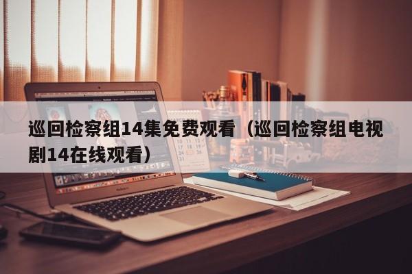 巡回检察组14集免费观看（巡回检察组电视剧14在线观看）