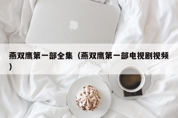 燕双鹰第一部全集（燕双鹰第一部电视剧视频）