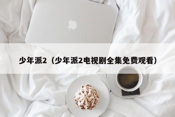 少年派2（少年派2电视剧全集免费观看）