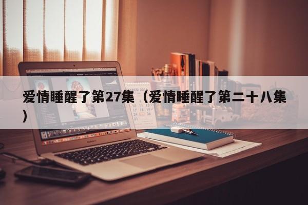 爱情睡醒了第27集（爱情睡醒了第二十八集）