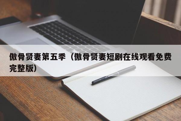 傲骨贤妻第五季（傲骨贤妻短剧在线观看免费完整版）