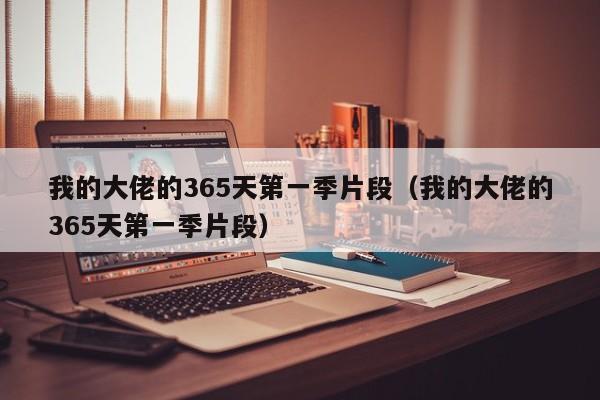 我的大佬的365天第一季片段（我的大佬的365天第一季片段）