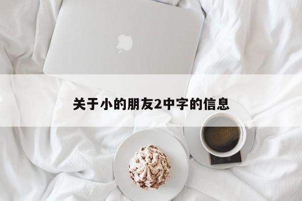 关于小的朋友2中字的信息