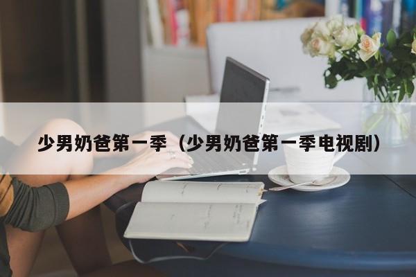 少男奶爸第一季（少男奶爸第一季电视剧）