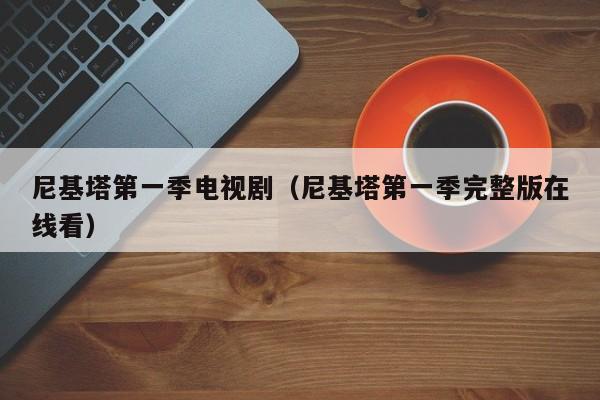 尼基塔第一季电视剧（尼基塔第一季完整版在线看）
