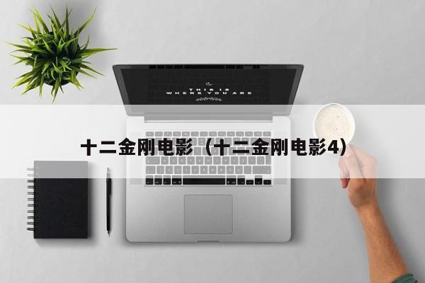 十二金刚电影（十二金刚电影4）
