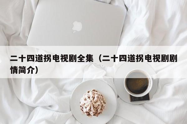 二十四道拐电视剧全集（二十四道拐电视剧剧情简介）