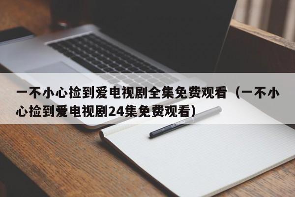 一不小心捡到爱电视剧全集免费观看（一不小心捡到爱电视剧24集免费观看）