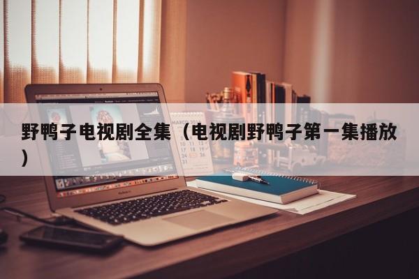 野鸭子电视剧全集（电视剧野鸭子第一集播放）